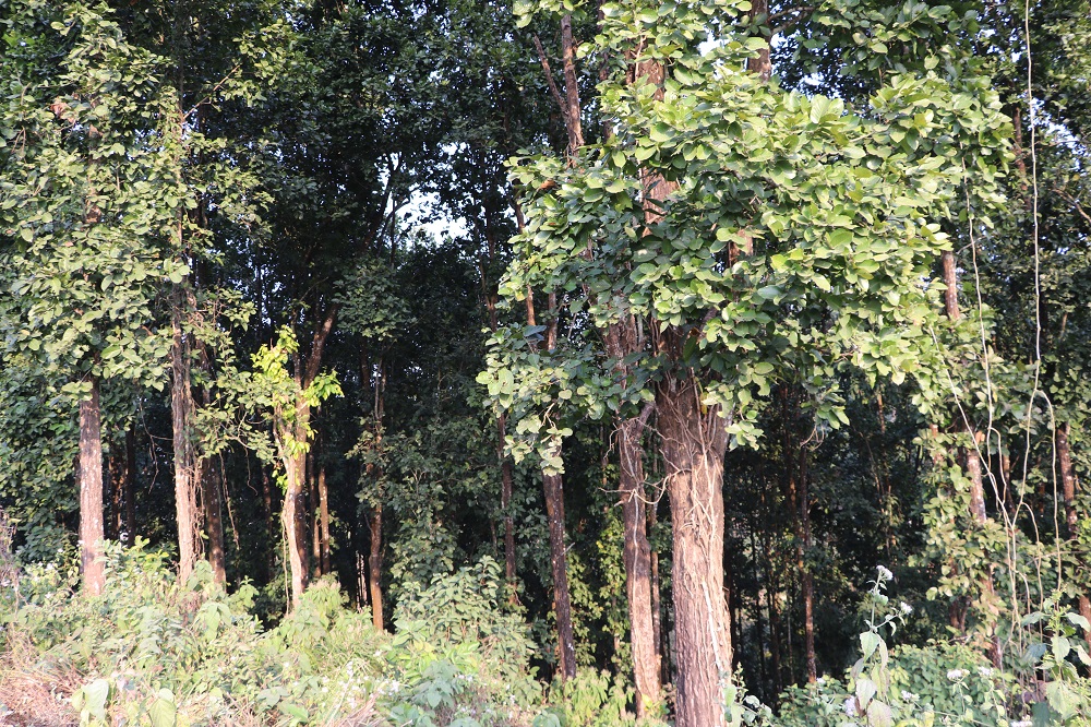 Business Featured Image